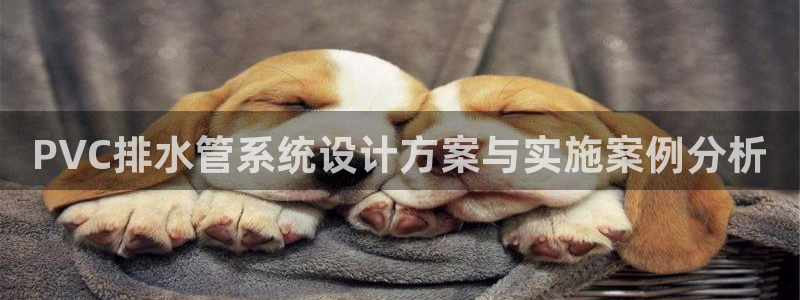 北京天辰娱乐
