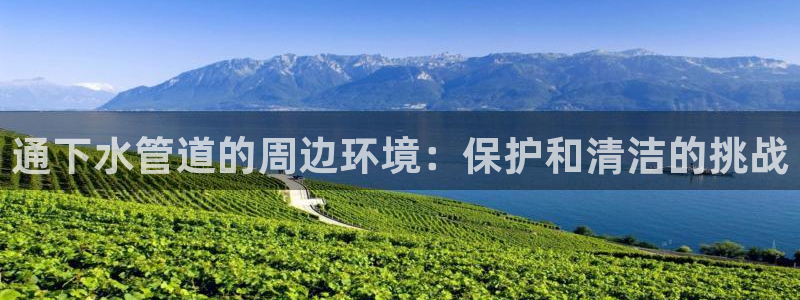 广东天辰娱乐