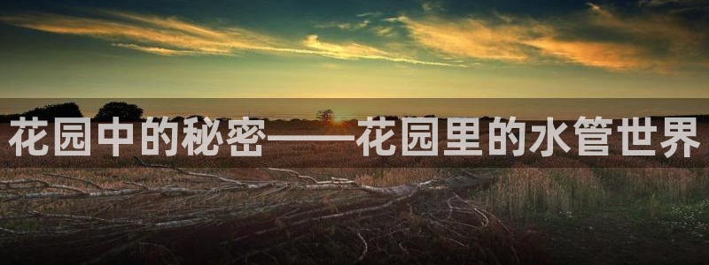 天辰娱乐-q