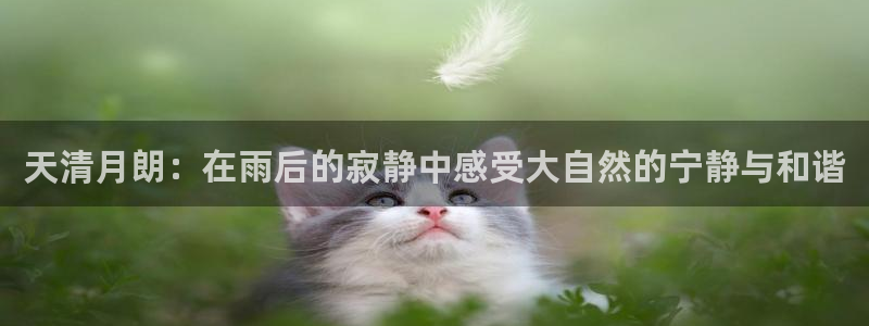 天辰娱乐 天辰平台