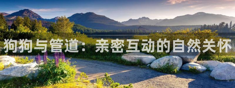 天辰娱乐平台娱乐注册