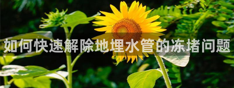 天辰娱乐平台安全吗