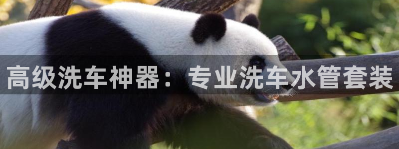 天辰娱乐输了