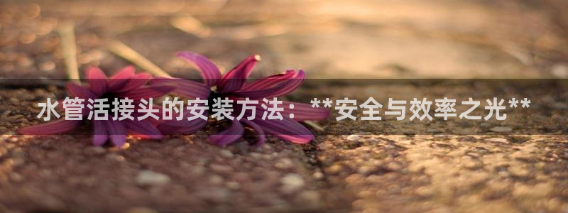 天富娱乐天辰娱乐