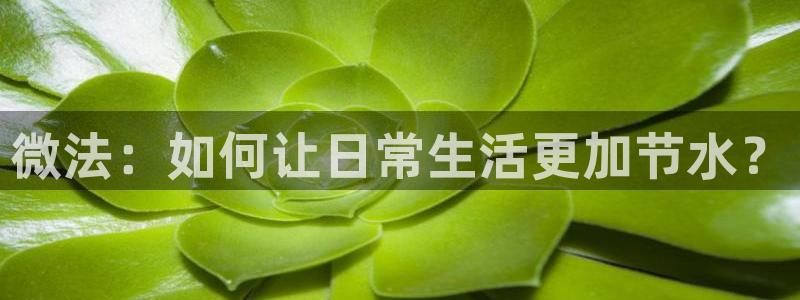 天辰娱乐开户