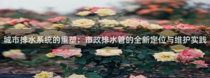 天辰娱乐服务