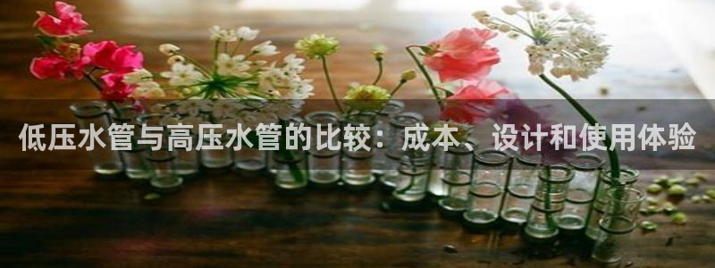 天辰臣娱乐
