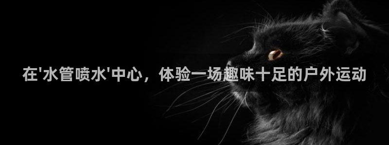 天辰娱乐官网平台入口