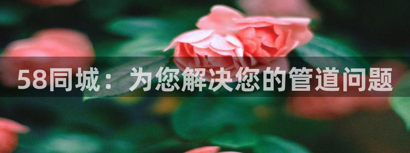 天富娱乐天辰娱乐