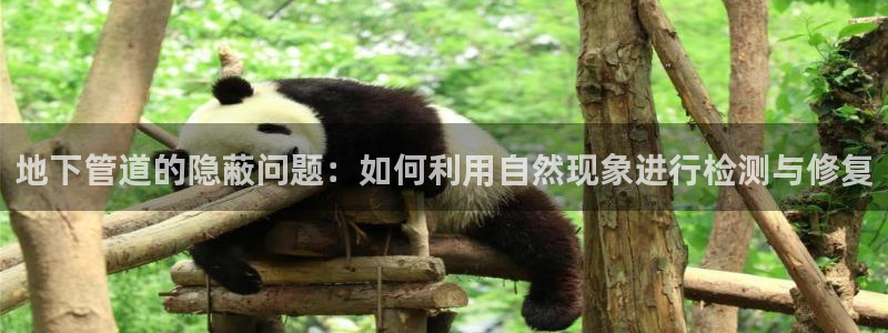 天辰娱乐公司