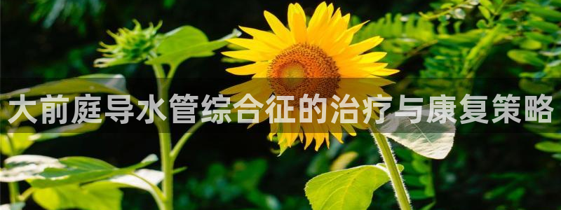 天富天辰娱乐