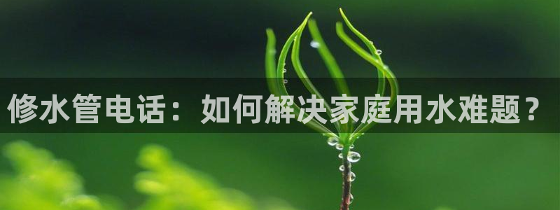 天辰娱乐平台地址在哪里