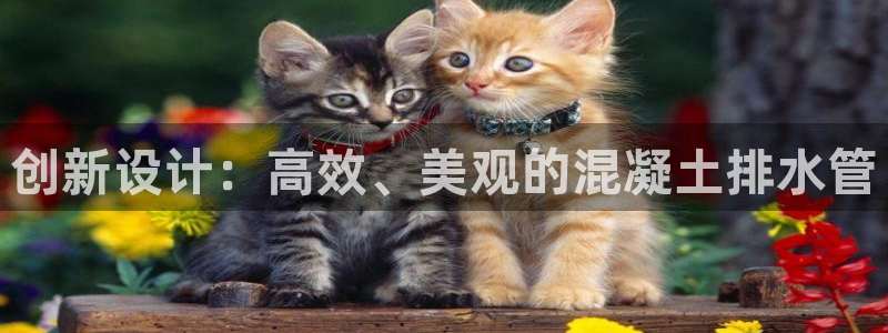 天富娱乐与天辰娱乐