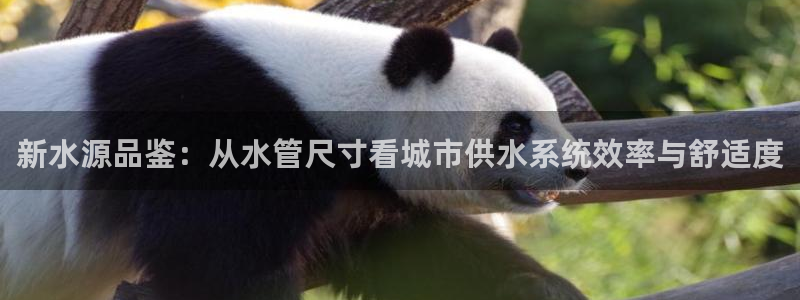 天辰团队贝高娱乐