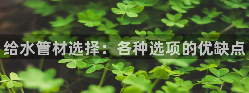天辰娱乐官网平台下载