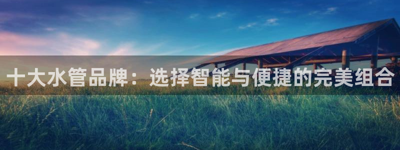辰天娱乐用品