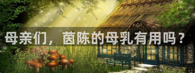 天辰娱乐招商