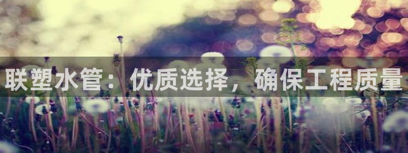 天辰娱乐网