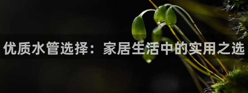 天辰娱乐总管年薪