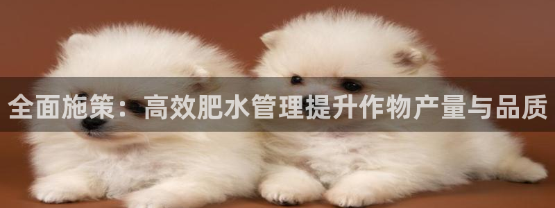 天辰娱乐APP下载