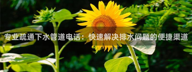 天辰娱乐网址娱乐游戏