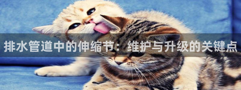 天辰娱乐登录